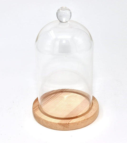 Glass dome display